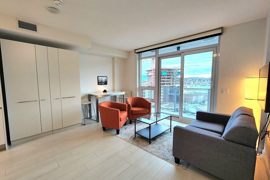 909 180 E 2ND AVENUE, Vancouver BC V5T 0K4 Vancouver, BC - 16