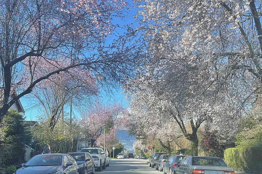 3044 Point Grey Road Vancouver, BC - 6