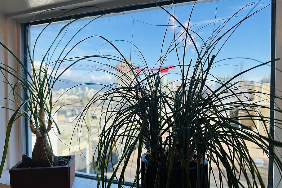 403 985 W 10th Avenue Vancouver, BC - 9