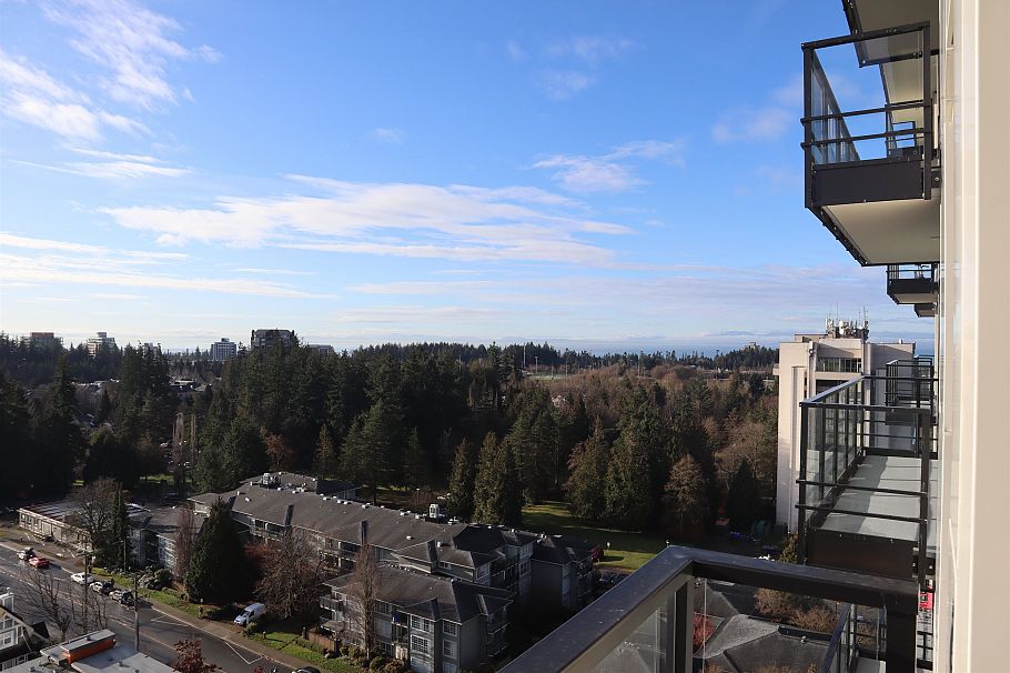 1410 5380 Crooked Branch Road Vancouver, BC - 22