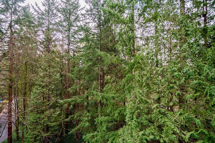 608 2004 Fullerton Avenue North Vancouver, BC - 33