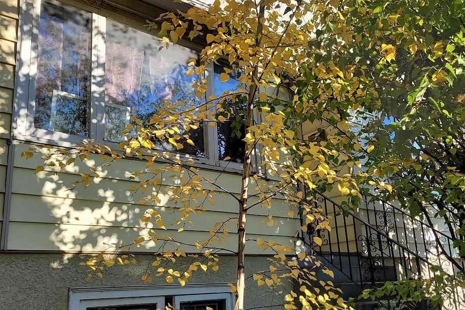 6084 Chester Street Vancouver, BC - 9