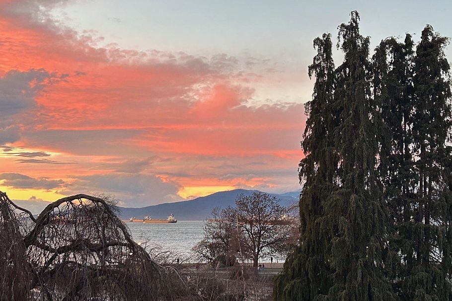 PH 1480 Arbutus Street Vancouver, BC - 3