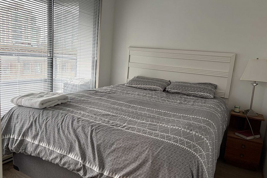 510 1060 Alberni Street Vancouver, BC - 5