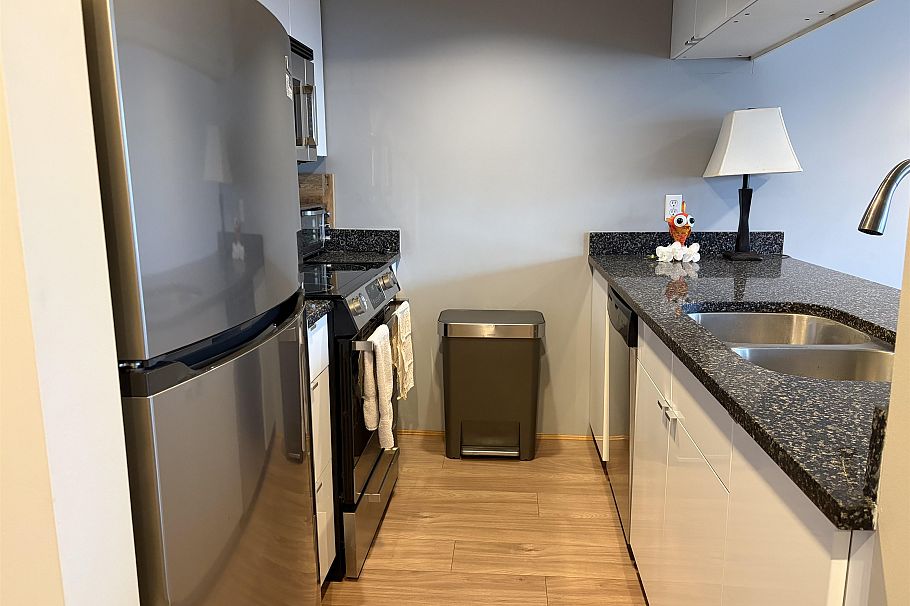 510 1060 Alberni Street Vancouver, BC - 3