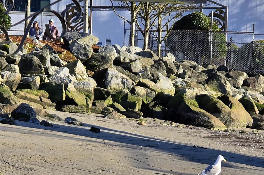 JNW33 415 W Esplanade North Vancouver, BC - 23