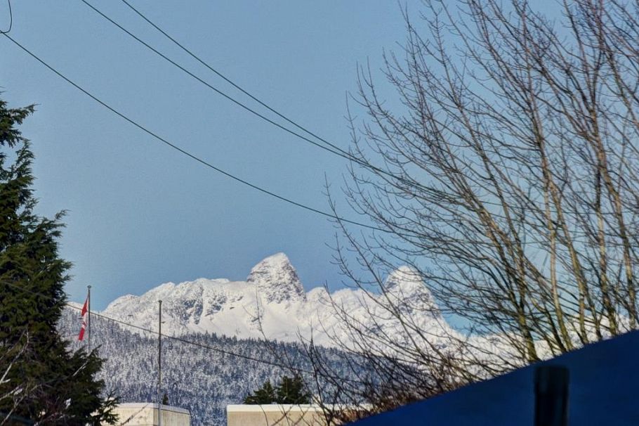 207 677 W 41ST AVENUE, Vancouver BC V5Z 3M4 Vancouver, BC - 16