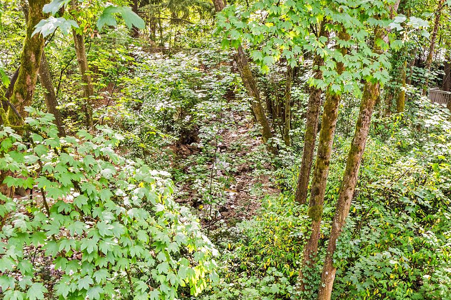 3192 Mountain Highway North Vancouver, BC - 6