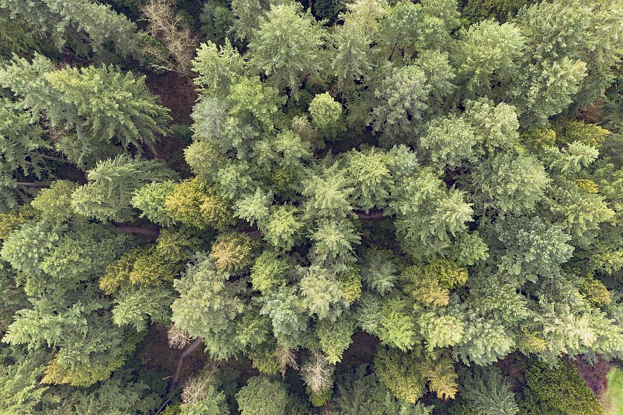 402 4688 W 10th Avenue Vancouver, BC - 38