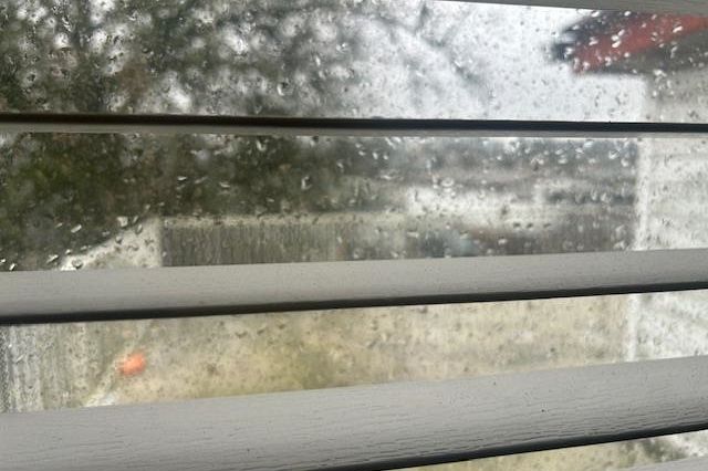 4542 Joyce Street Vancouver, BC - 18