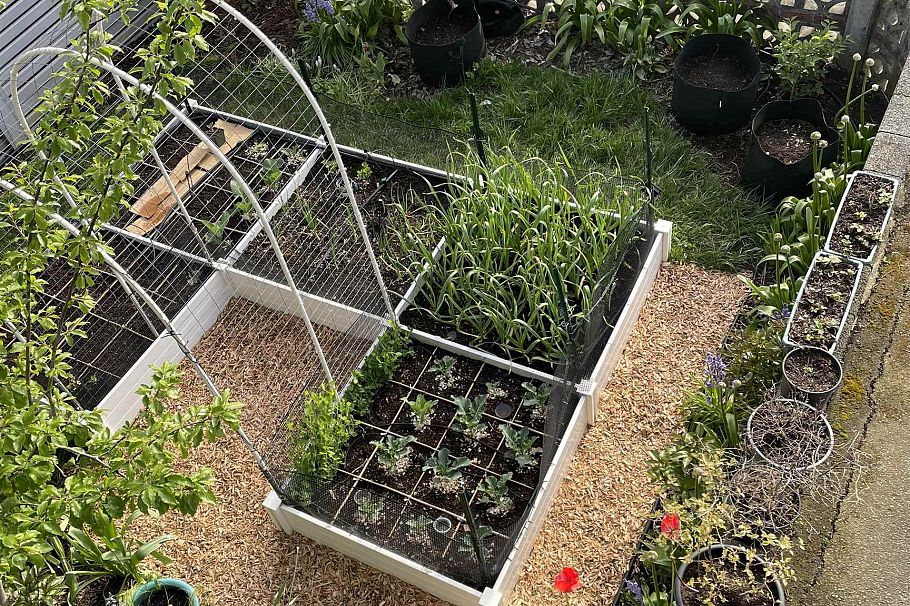 5043 St. Margarets Street Vancouver, BC - 22