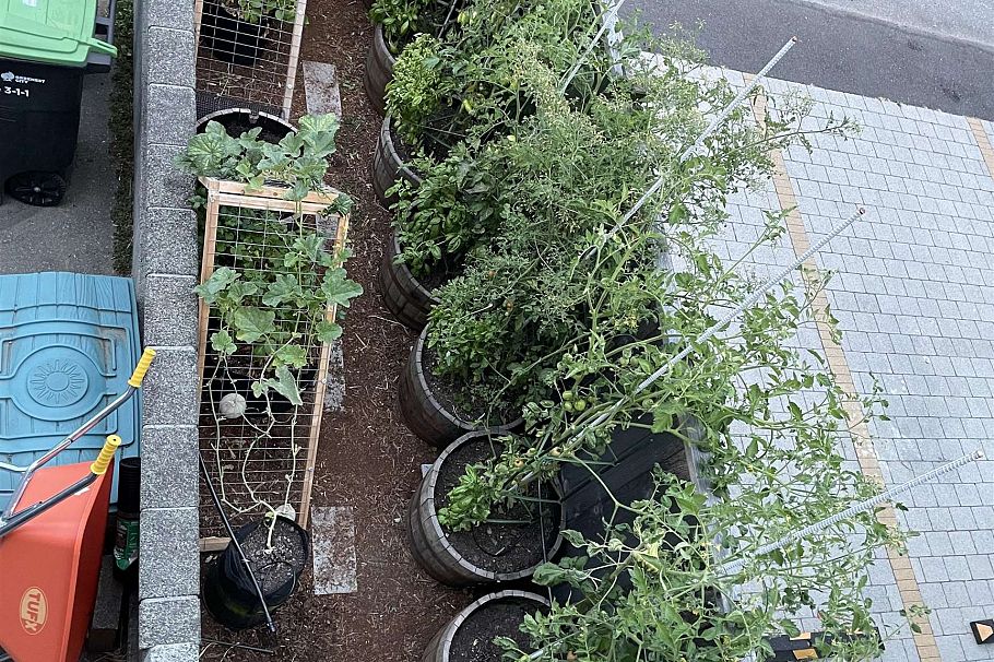 5043 St. Margarets Street Vancouver, BC - 23