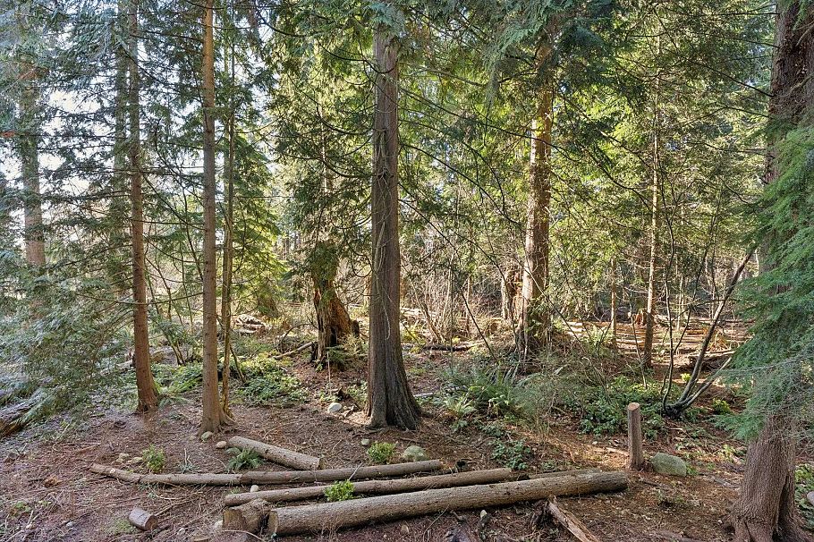 208 2375 Emery Court North Vancouver, BC - 20