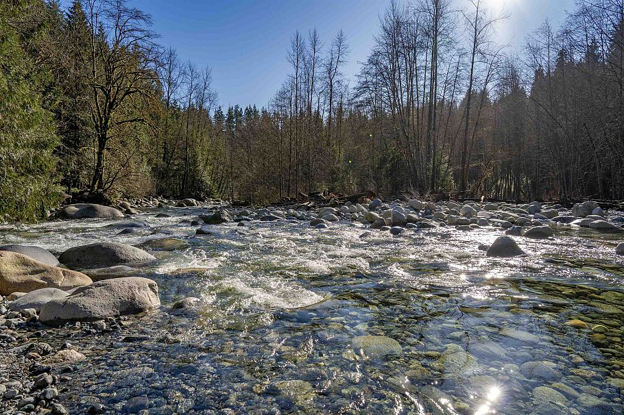 3981 Lynn Valley Road North Vancouver, BC - 36