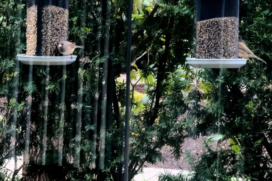 110 5728 Berton Avenue Vancouver, BC - 5