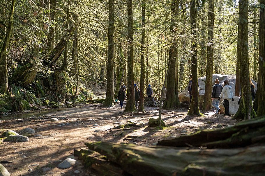 3981 Lynn Valley Road North Vancouver, BC - 37