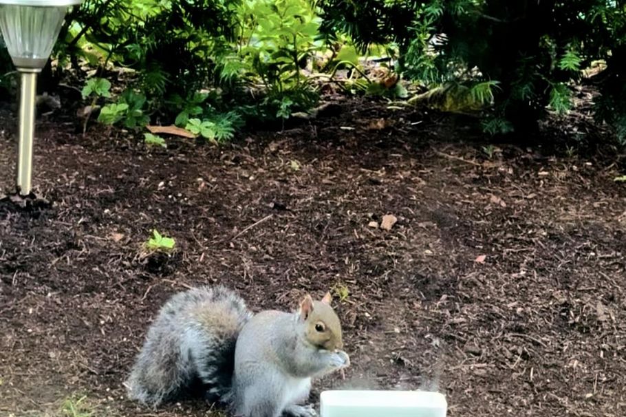 110 5728 Berton Avenue Vancouver, BC - 6