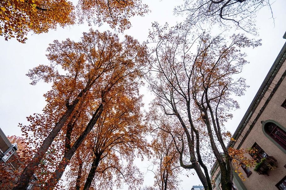 302 936 Bute Street Vancouver, BC - 3