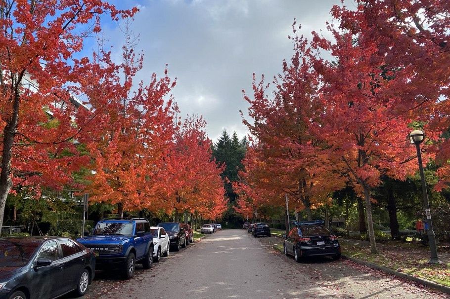 204 6333 Larkin Drive Vancouver, BC - 32