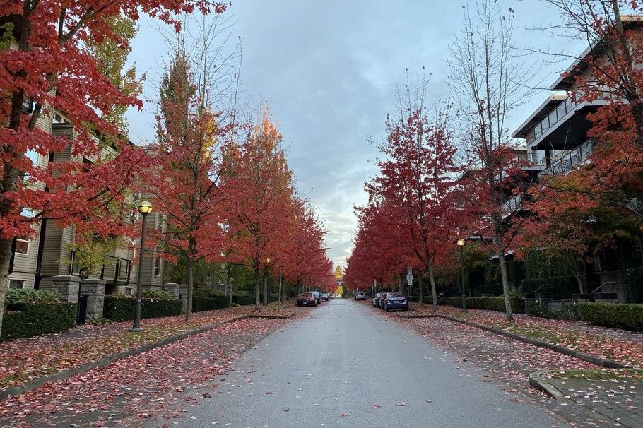 204 6333 Larkin Drive Vancouver, BC - 34