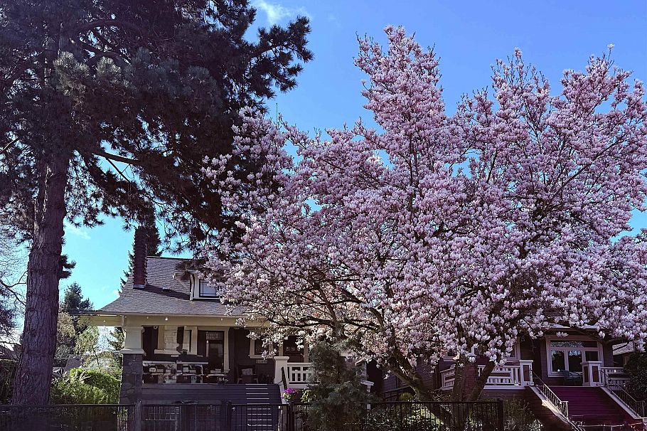 3044 Point Grey Road Vancouver, BC - 5