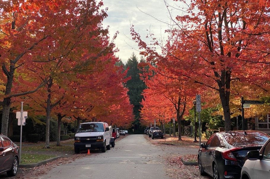 204 6333 Larkin Drive Vancouver, BC - 31