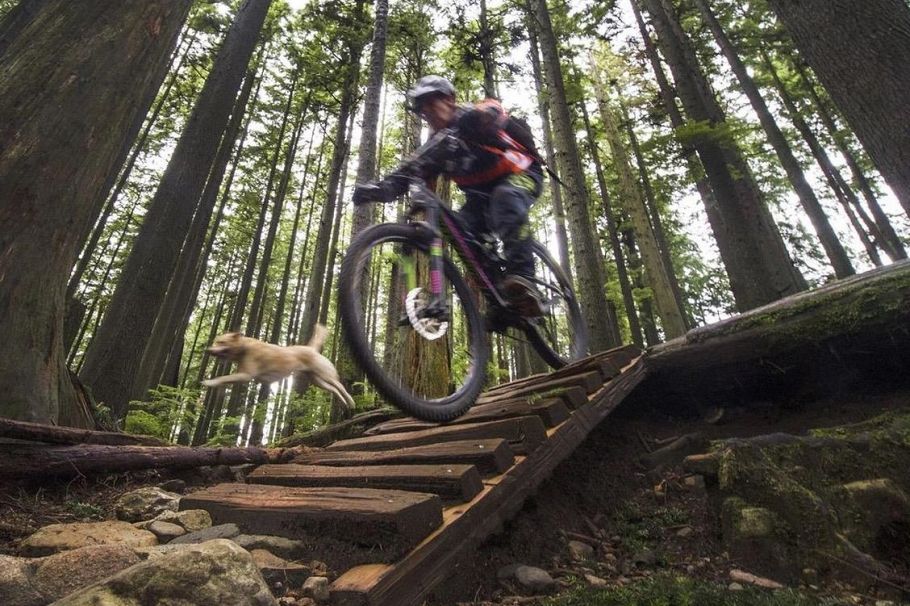 875 Porteau Place North Vancouver, BC - 35