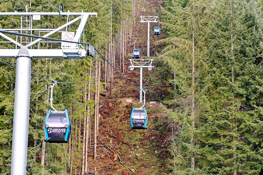 5709 Owl Court North Vancouver, BC - 34