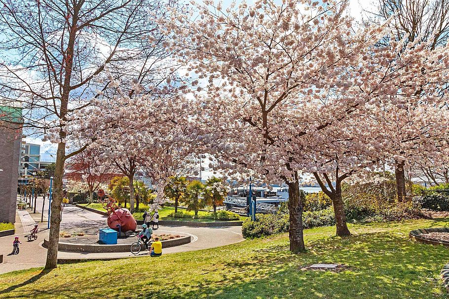 112 240 Mahon Avenue North Vancouver, BC - 40