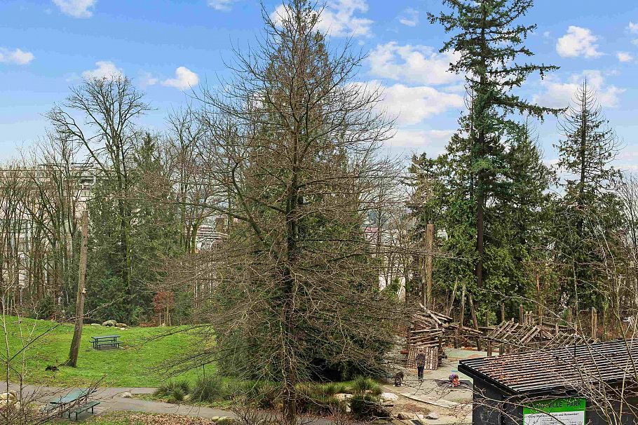 107 733 E 3rd Street North Vancouver, BC - 30