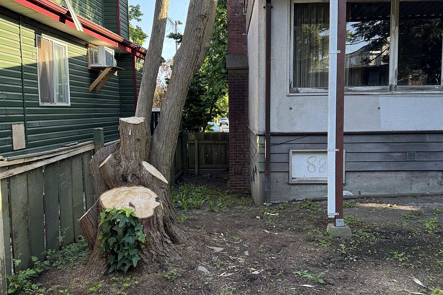 2511 Upland Drive Vancouver, BC - 11