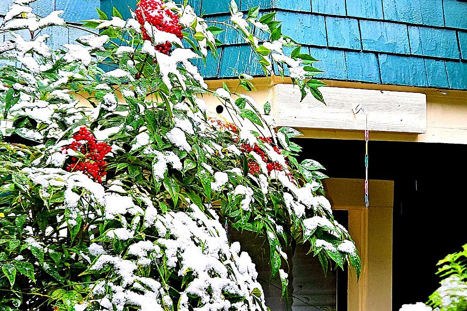 2635 W 7th Avenue Vancouver, BC - 11