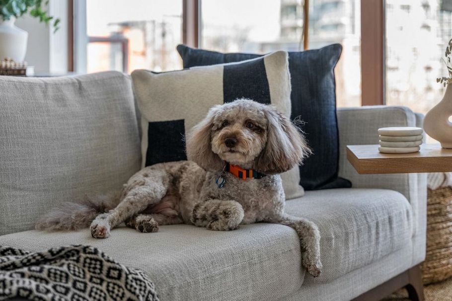 404 1633 W 8th Avenue Vancouver, BC - 4