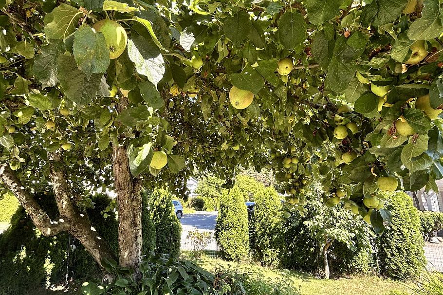 1798 Garden Avenue North Vancouver, BC - 14