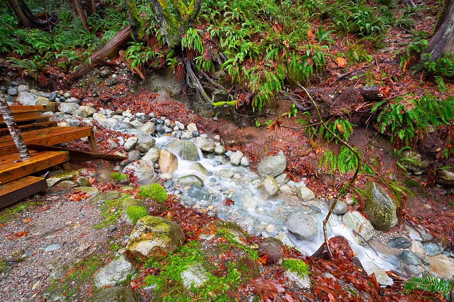 2711 Panorama Drive North Vancouver, BC - 39