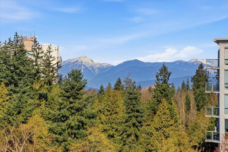 1101 5615 Hampton Place Vancouver, BC - 28