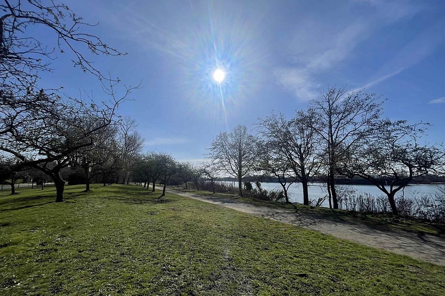 8208 Tugboat Place Vancouver, BC - 29