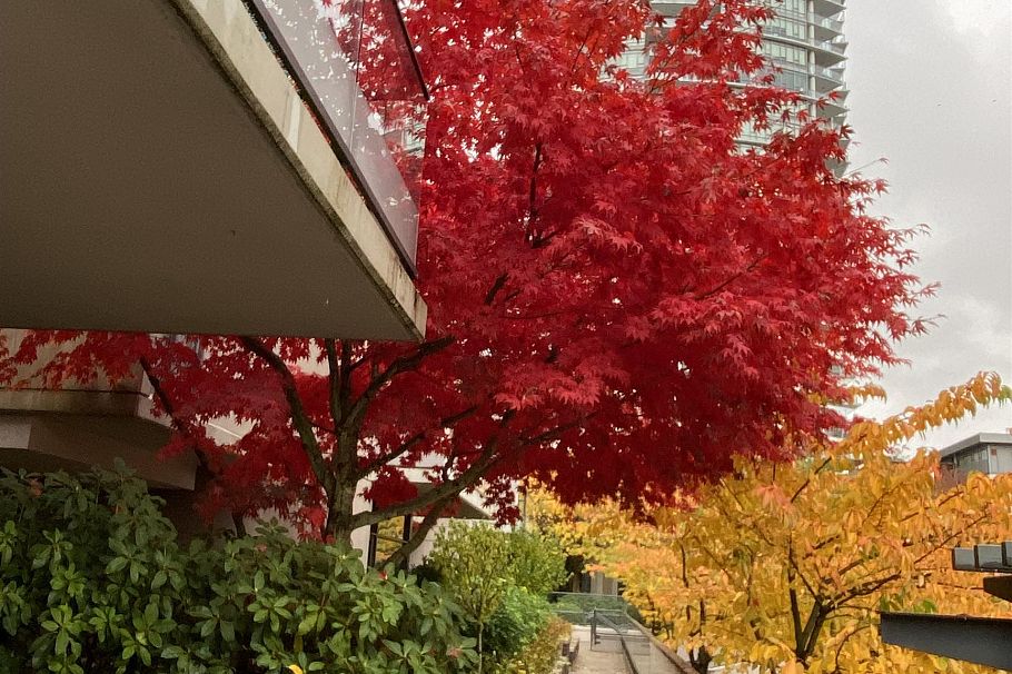 TH2 2077 Rosser Avenue Burnaby, BC - 31