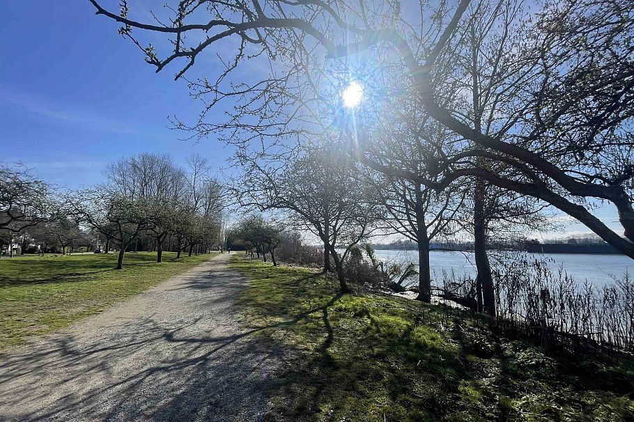 8208 Tugboat Place Vancouver, BC - 30