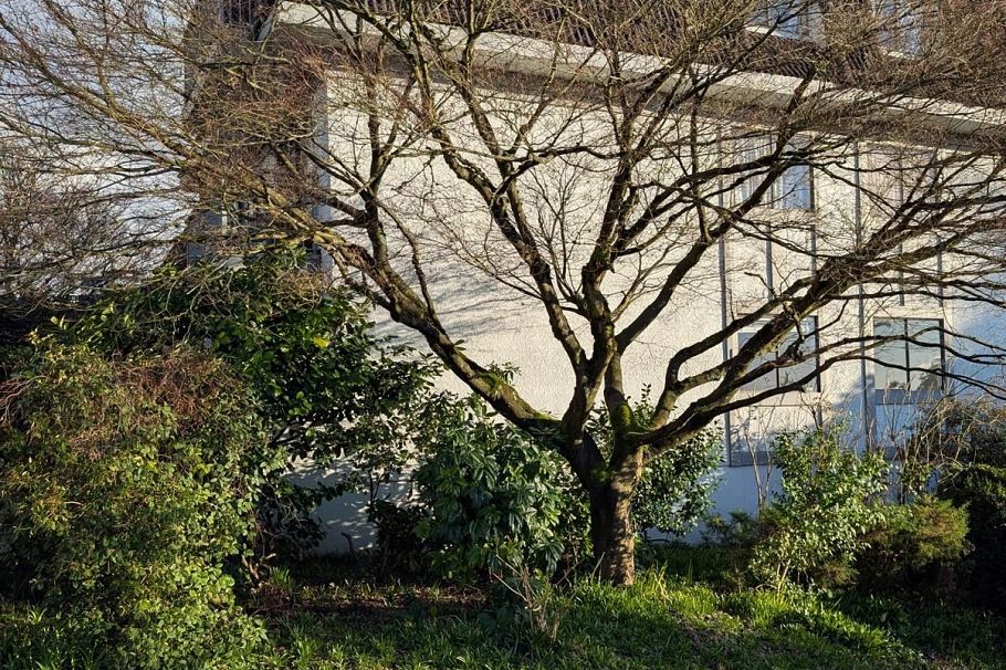 105 275 W 2nd Street North Vancouver, BC - 2