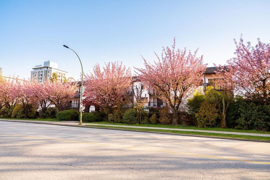 208 211 W 3rd Street North Vancouver, BC - 1