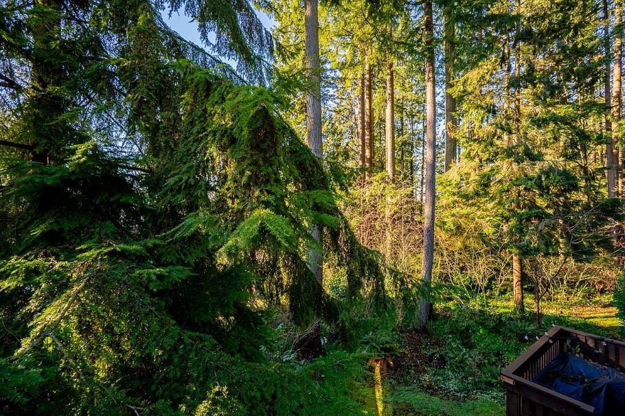 2076 Purcell Way North Vancouver, BC - 21