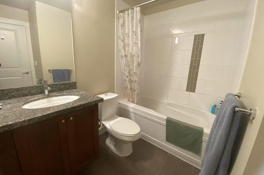 204 5788 BIRNEY AVE AVENUE, Vancouver BC V6T 1W6 Vancouver, BC - 10