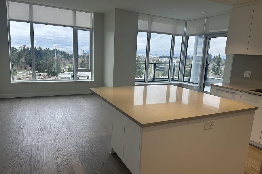 1509 6138 BIRNEY AVENUE, Vancouver BC V6S 0N1 Vancouver, BC - 3