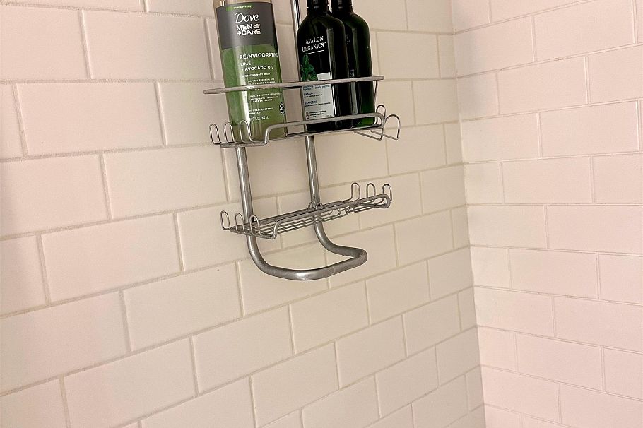 503 55 ALEXANDER STREET, Vancouver BC V6A 1B2 Vancouver, BC - 24