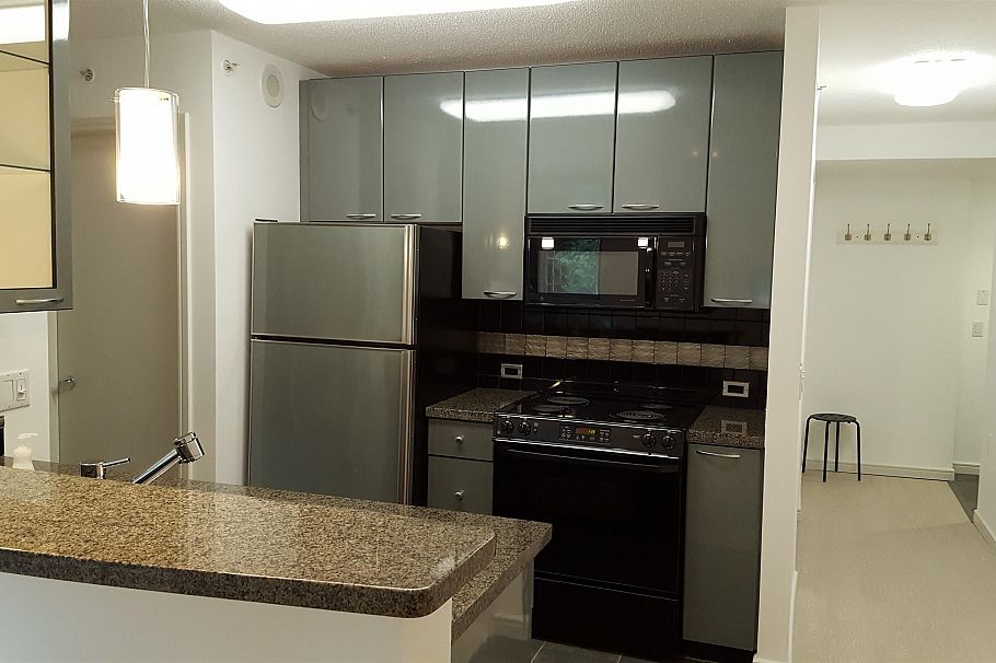 305 1068 Hornby Street Vancouver, BC - 15