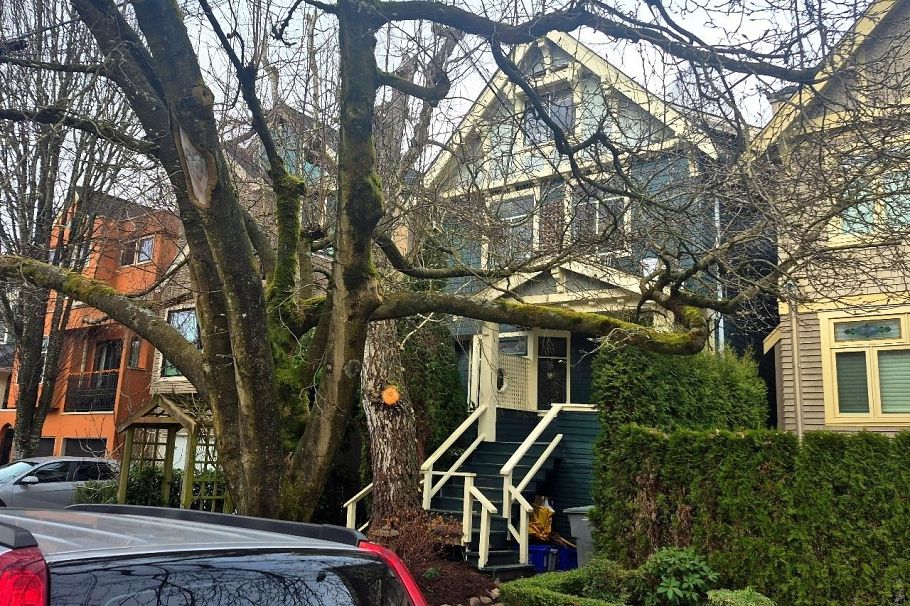 2635 W 7th Avenue Vancouver, BC - 3