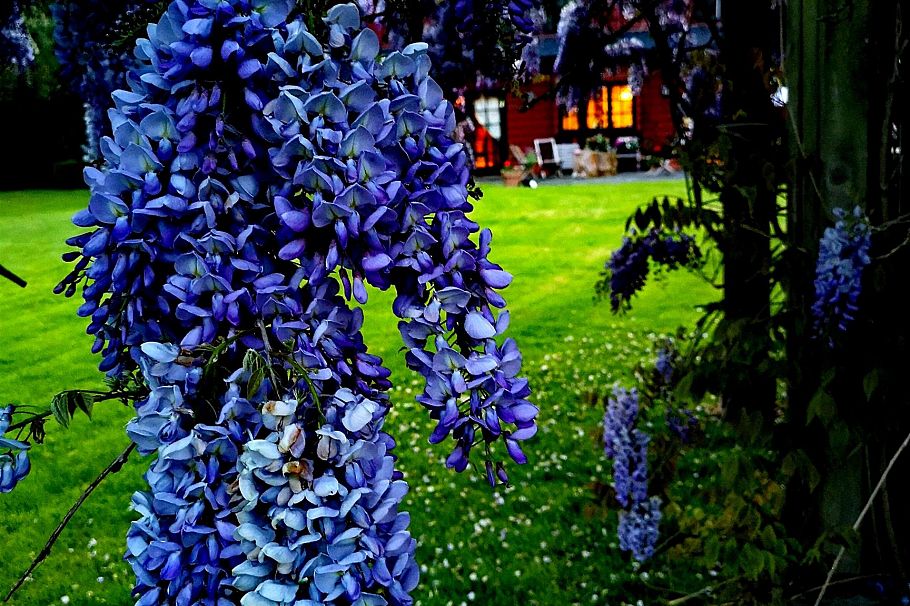 6786 Blenheim Street Vancouver, BC - 33