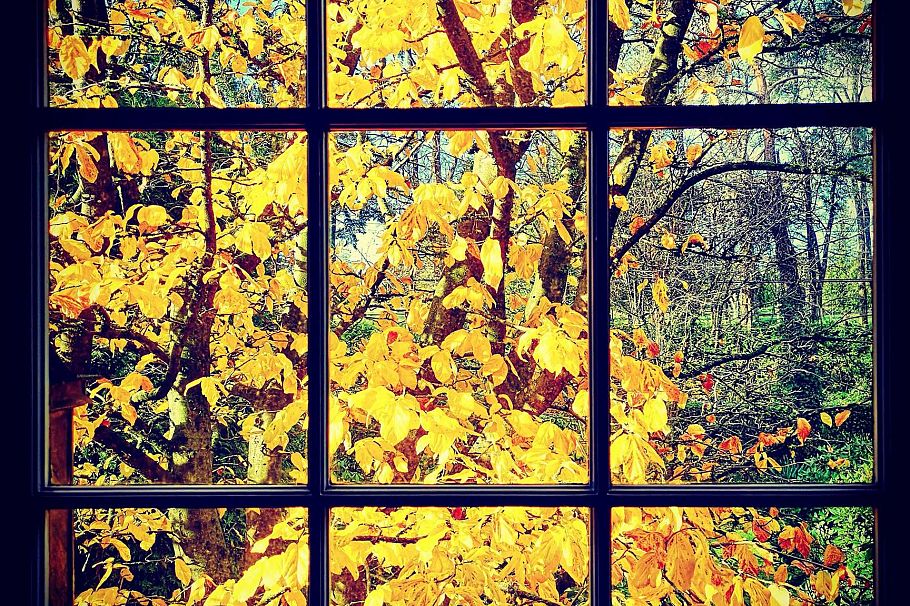 6786 Blenheim Street Vancouver, BC - 31