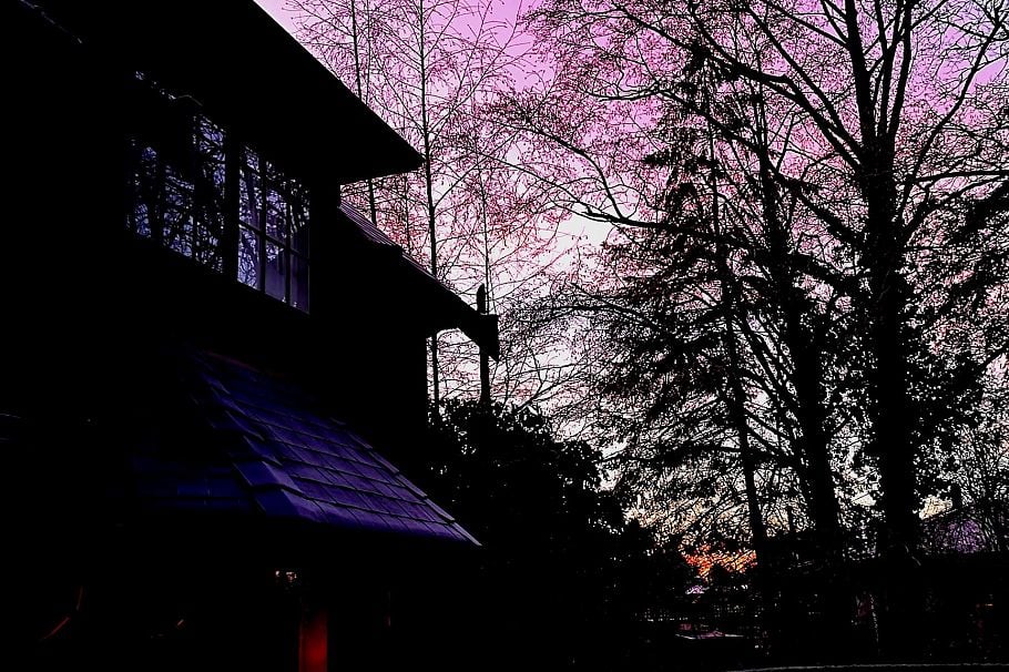 6786 Blenheim Street Vancouver, BC - 32